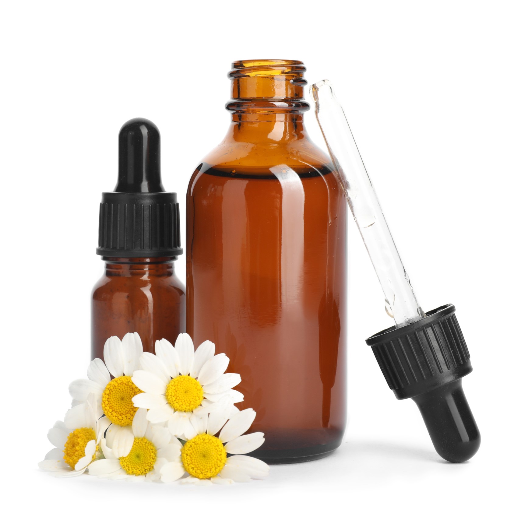 camomile picture german and roman