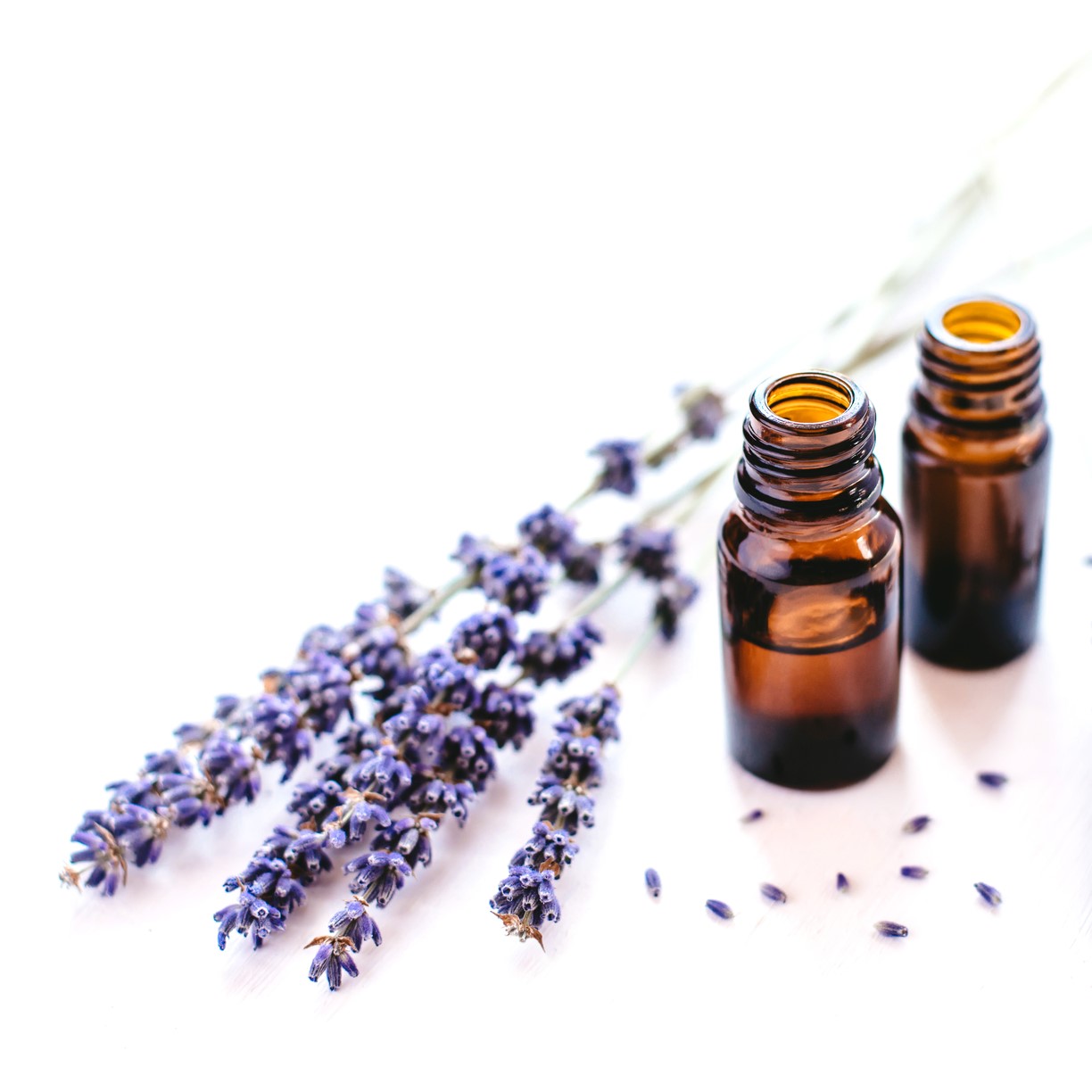 dreamstime_m_169323746 squared lavender