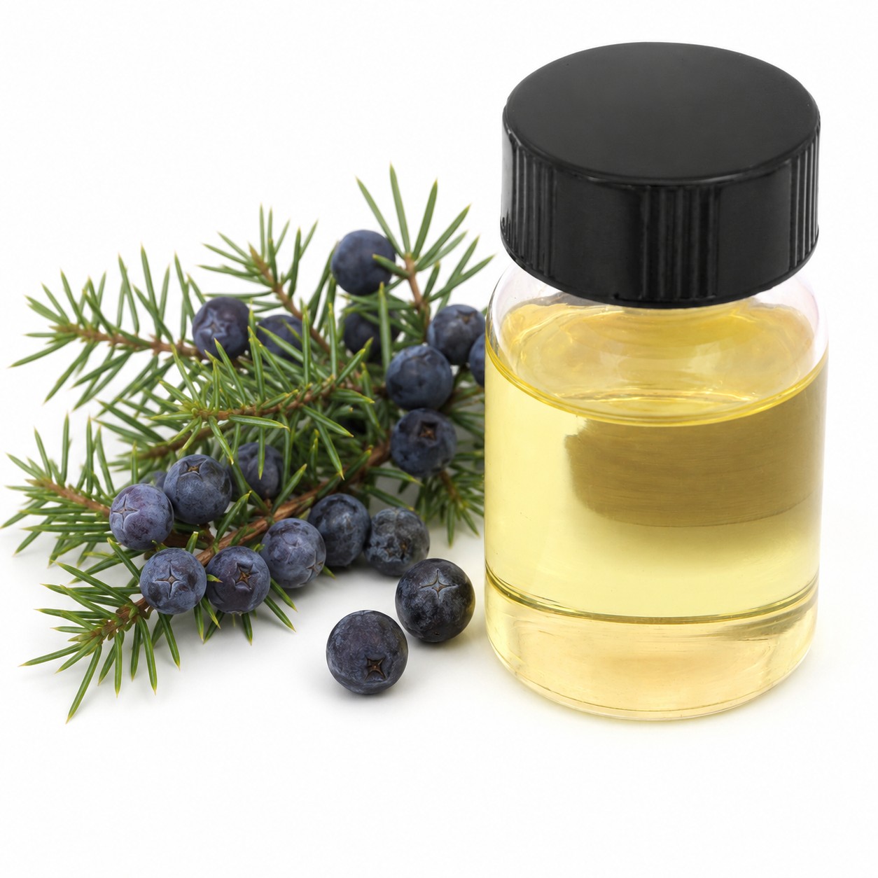 juniper