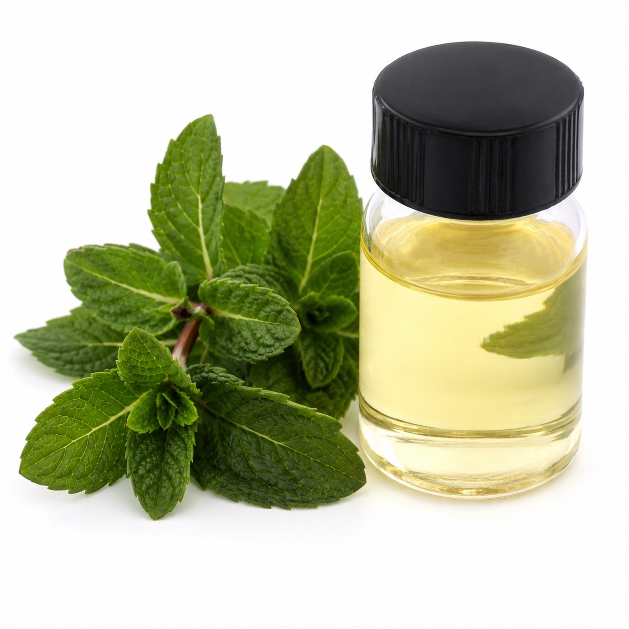 peppermint