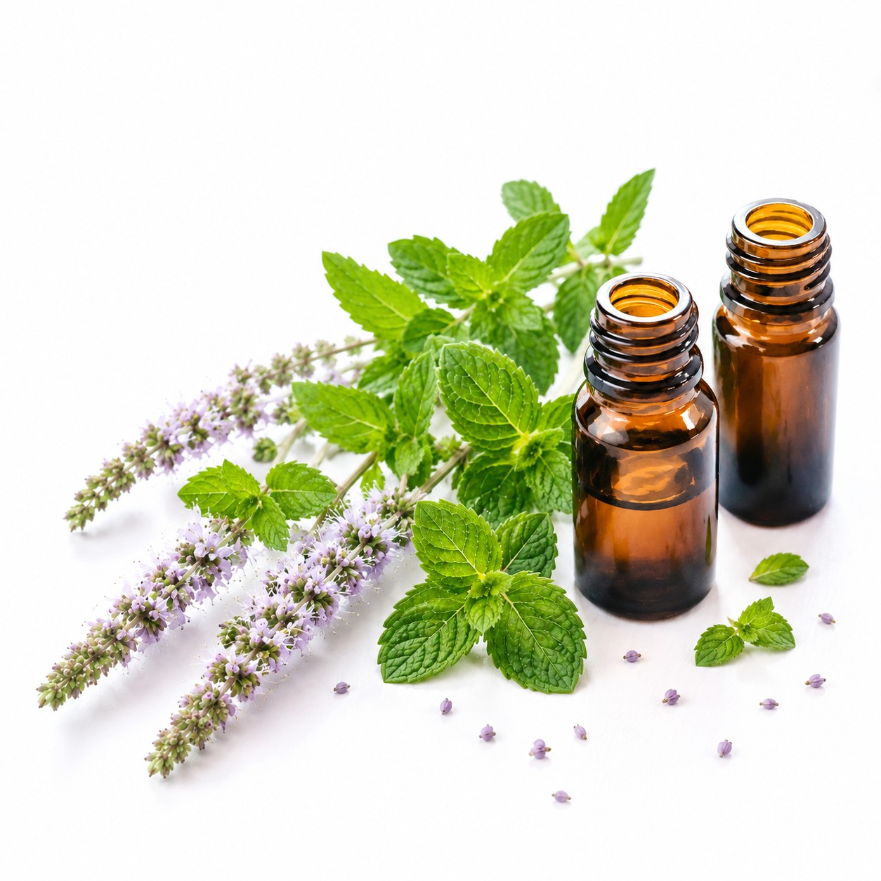 spearmint 1
