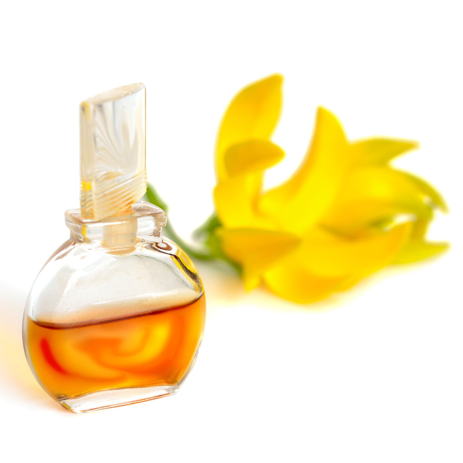 ylang ylang