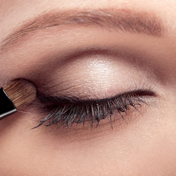 Purèz Copper Dream Eye Makeup Kit
